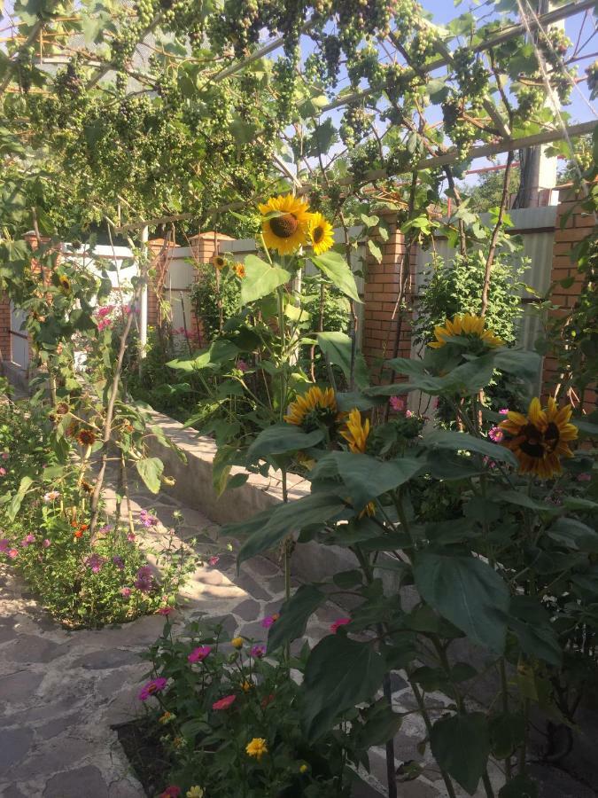 Oasis Aspindza Exterior foto