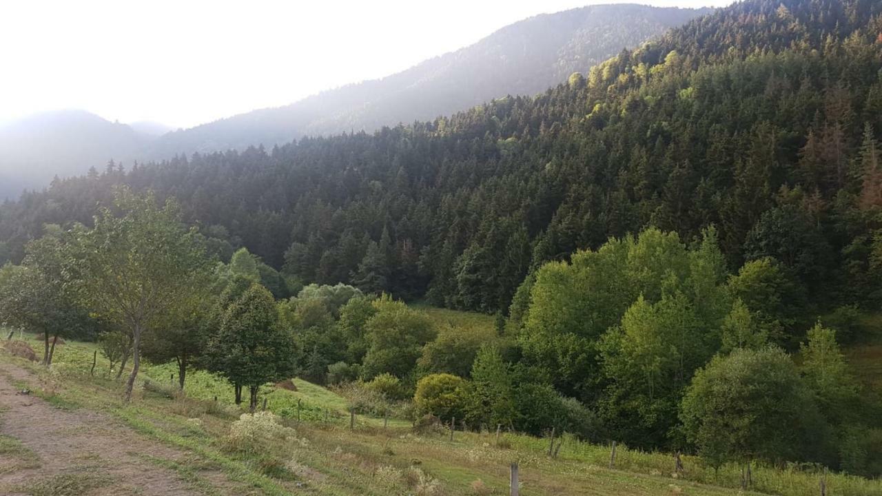 Oasis Aspindza Exterior foto